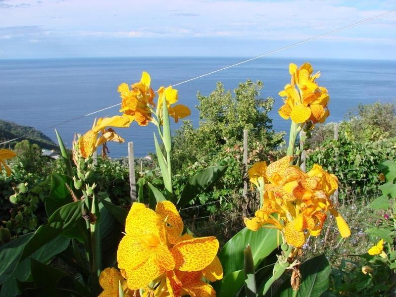 Case Vacanza Reggimonti Cinque Terre Bonassola Exteriér fotografie
