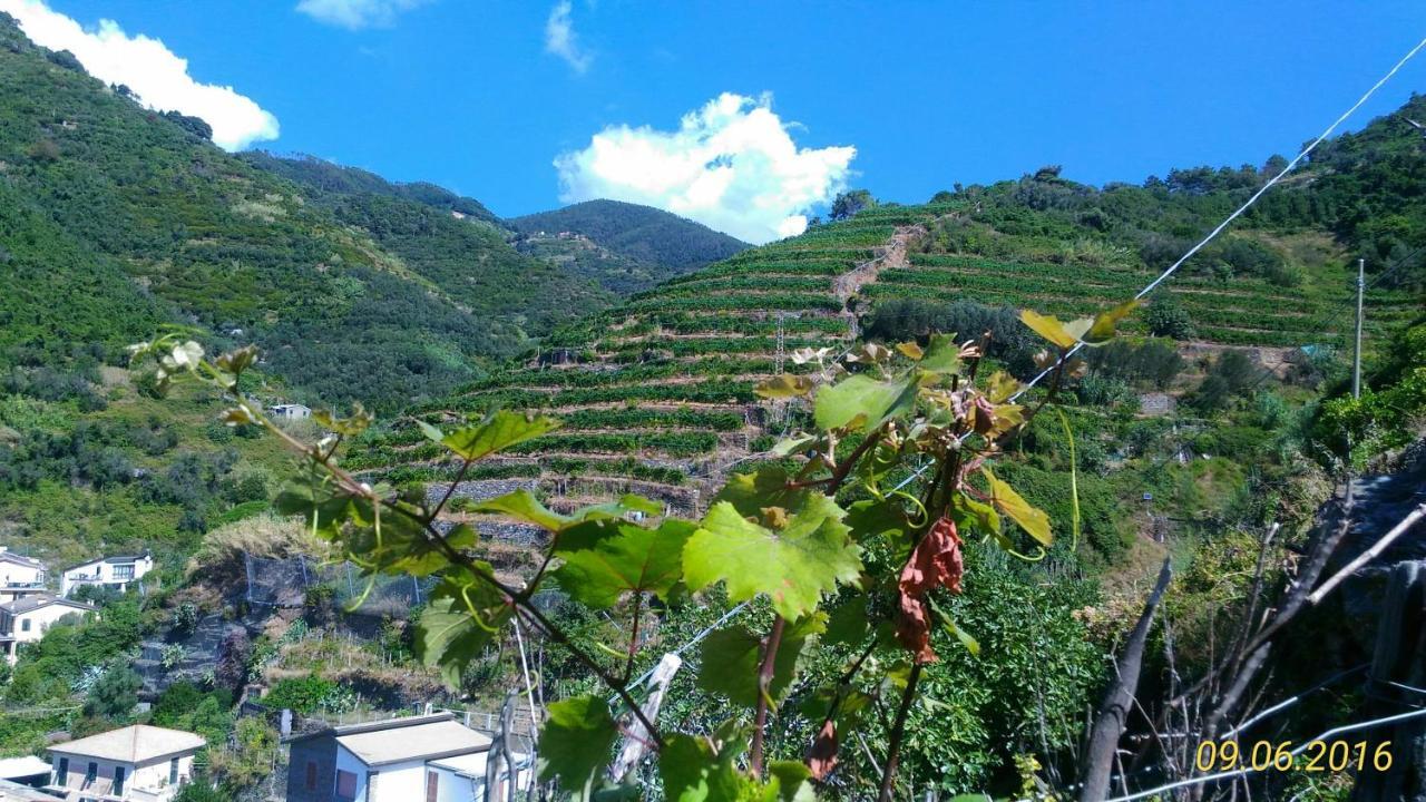 Case Vacanza Reggimonti Cinque Terre Bonassola Exteriér fotografie