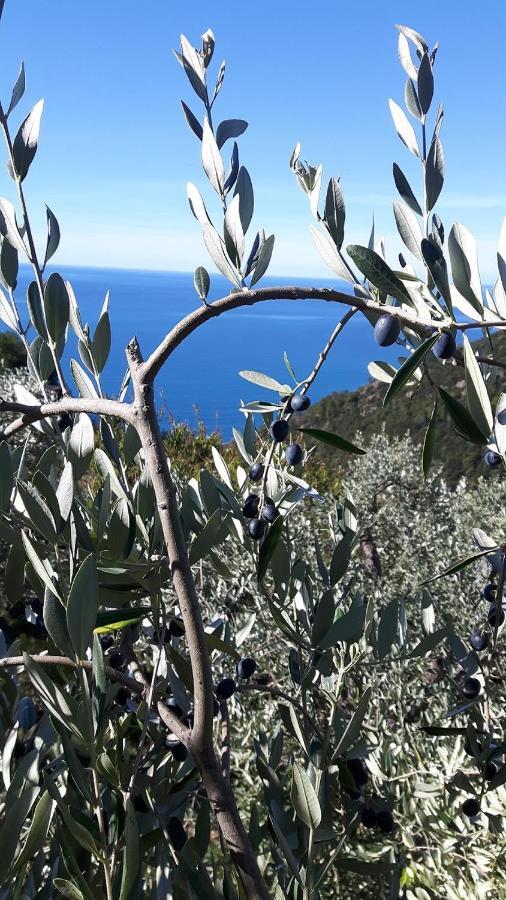 Case Vacanza Reggimonti Cinque Terre Bonassola Exteriér fotografie