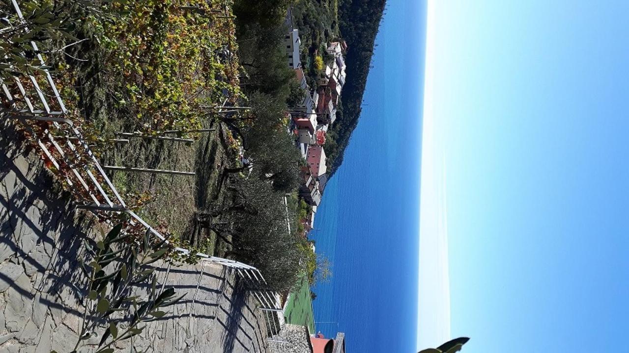 Case Vacanza Reggimonti Cinque Terre Bonassola Exteriér fotografie